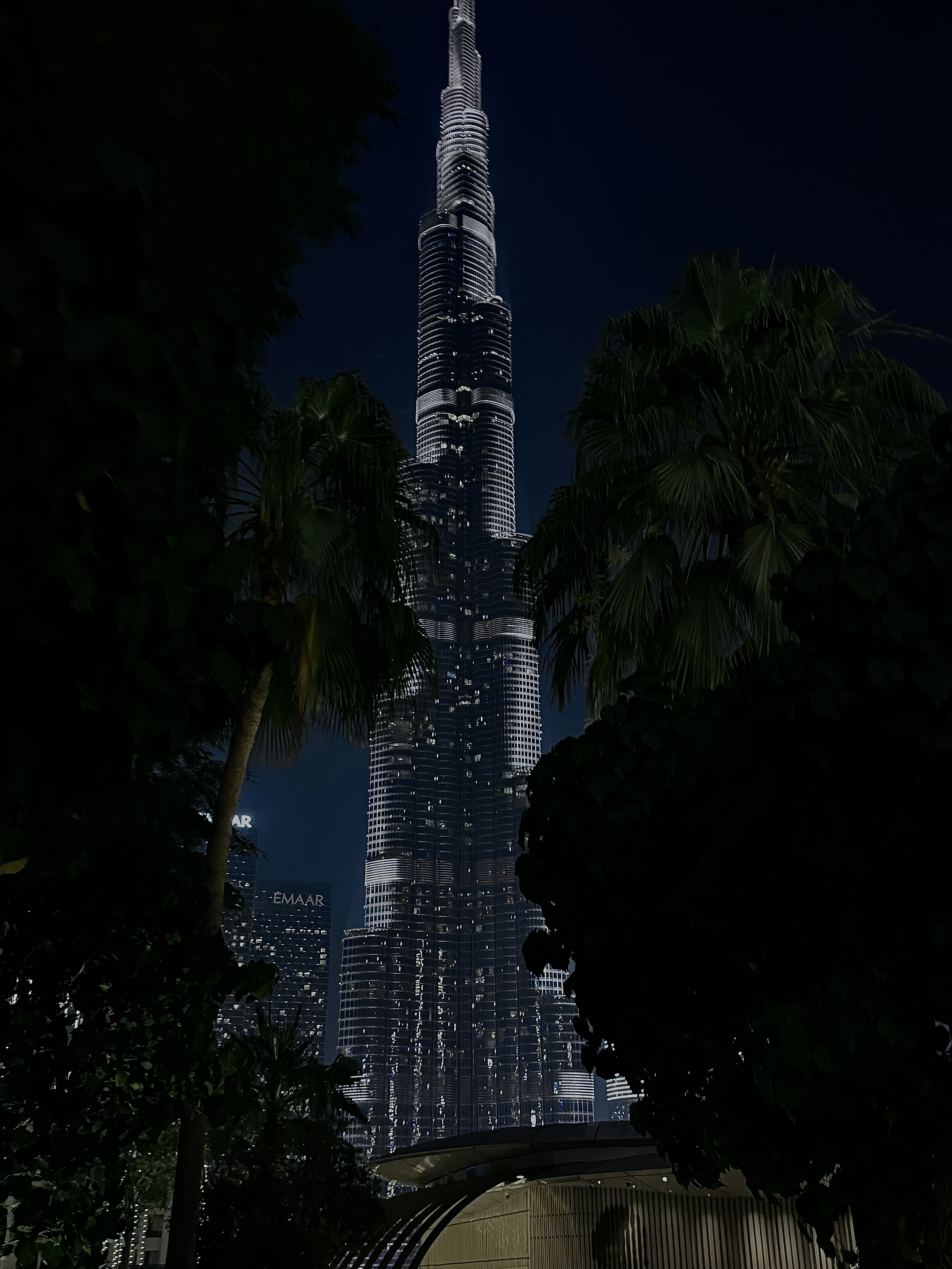 Burj Khalifa illuminée de nuit entre les palmiers à Dubaï